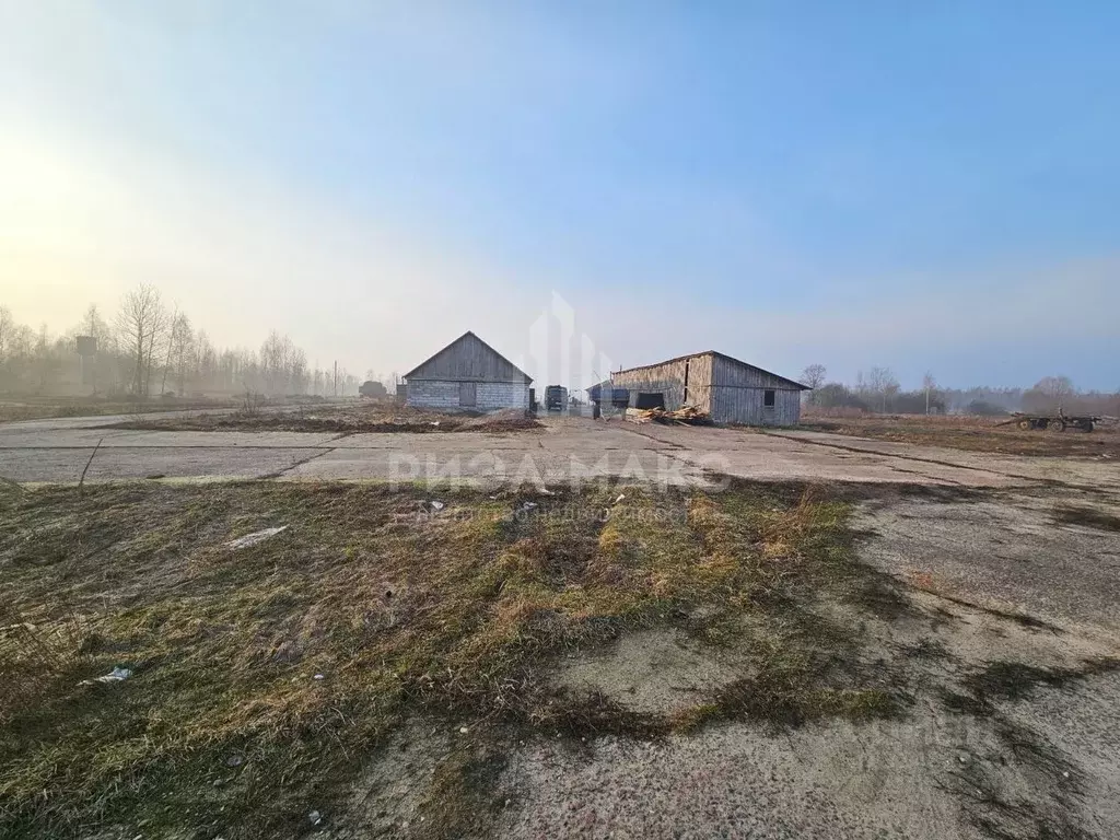 Участок в Брянская область, Карачевское городское поселение, д. ... - Фото 0
