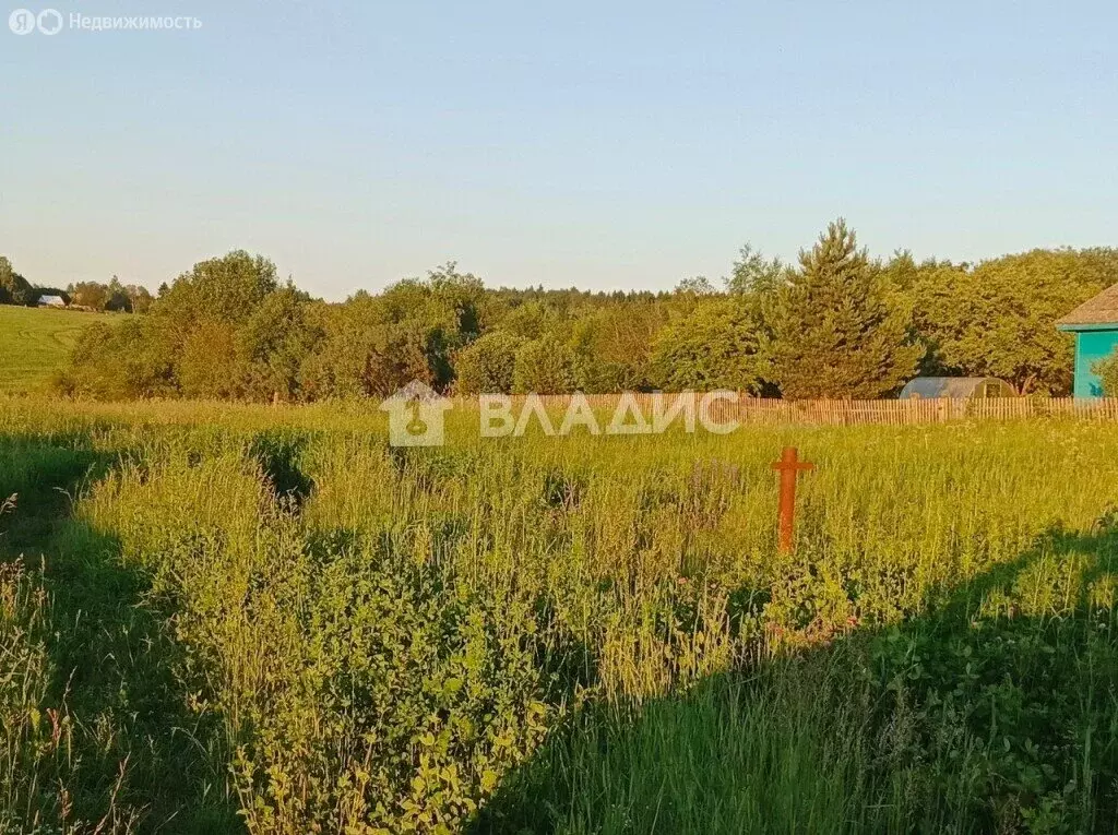 Участок в Вологодский муниципальный округ, деревня Козицыно (12 м) - Фото 1