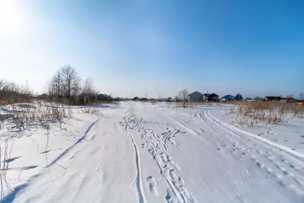 Участок в Тюменская область, Нижнетавдинский муниципальный округ, с. ... - Фото 1