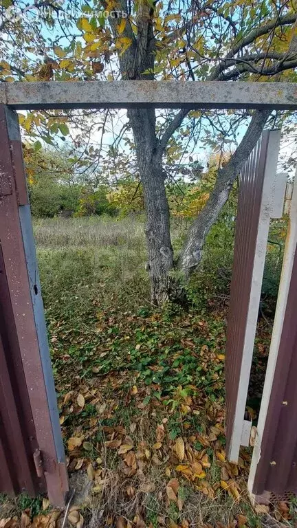 Участок в Истоминское сельское поселение, СНТ Лазурный (6 м) - Фото 1