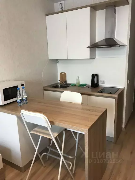 Студия Санкт-Петербург ул. Савушкина, 104 (27.0 м) - Фото 1