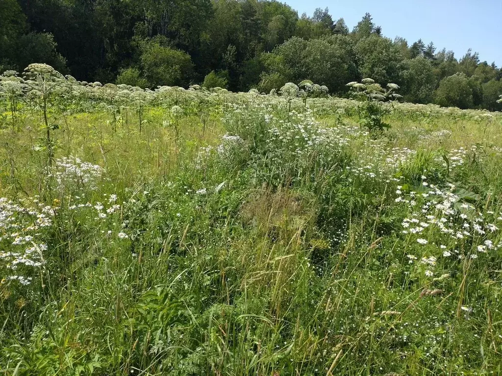 Участок в Ленинградская область, Тосненский район, Федоровское ... - Фото 1