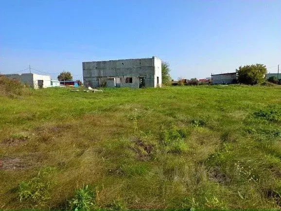 Участок в Челябинская область, Сосновский муниципальный округ, д. ... - Фото 1