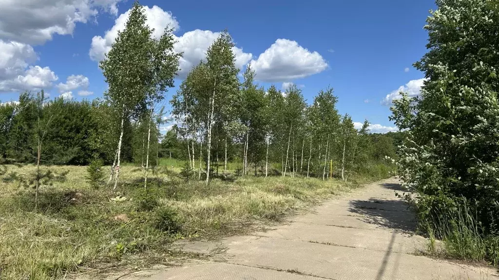 Участок в Москва д. Ширяево, Изумрудная аллея кп,  (15.0 сот.) - Фото 2