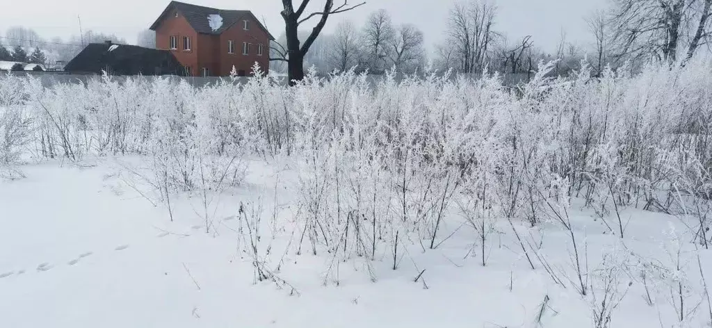 Участок в Московская область, Зарайск городской округ, д. Карино ул. ... - Фото 1