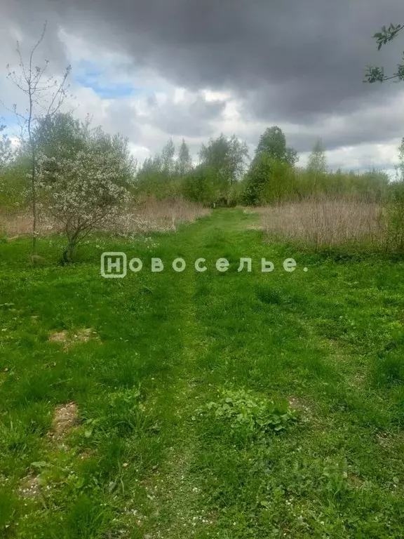 Участок в Рязанская область, Рыбновский район, Баграмовское с/пос, д. ... - Фото 1