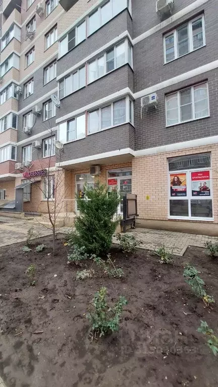 Помещение свободного назначения в Краснодарский край, Краснодар ... - Фото 1
