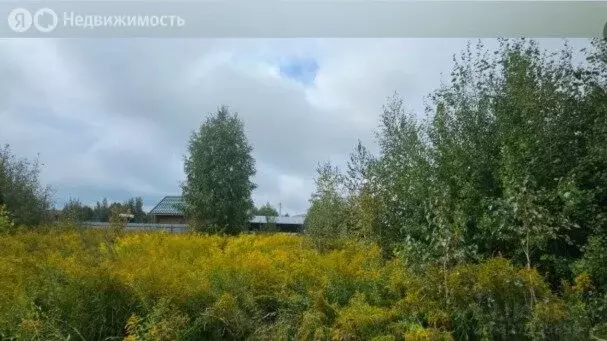 Участок в Новосибирск, микрорайон Пашино, улица Александра Освальда, ... - Фото 2