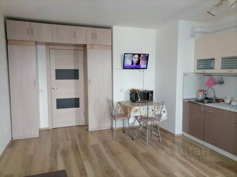 Студия Санкт-Петербург ул. Русановская, 16к3 (25.1 м) - Фото 1