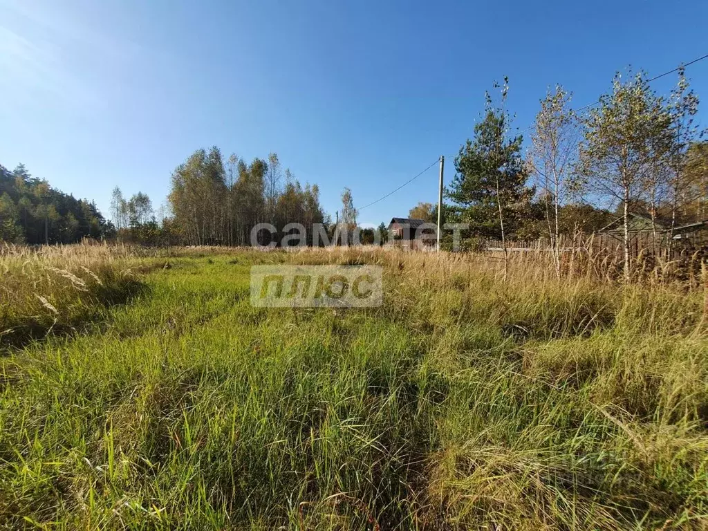 Участок в Московская область, Орехово-Зуевский городской округ, с. ... - Фото 1