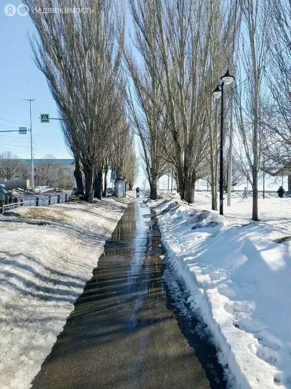 3-комнатная квартира: Саратов, Высокая улица, 12 (63.6 м) - Фото 1