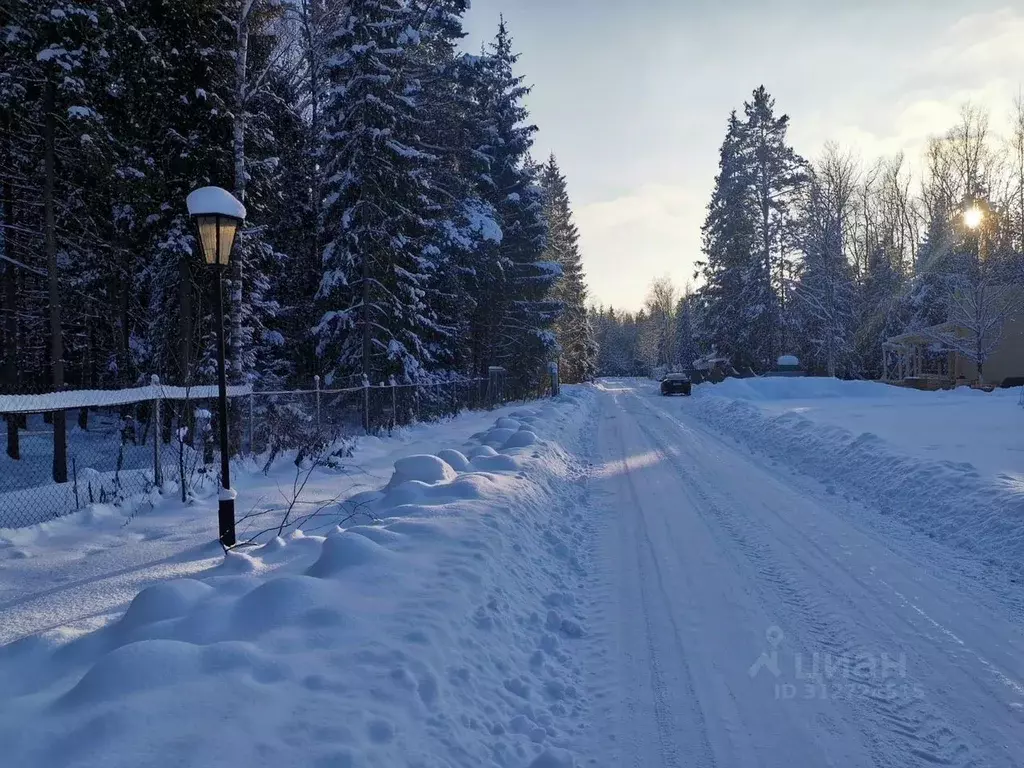 Участок в Московская область, Пушкинский городской округ, д. Могильцы, ... - Фото 1