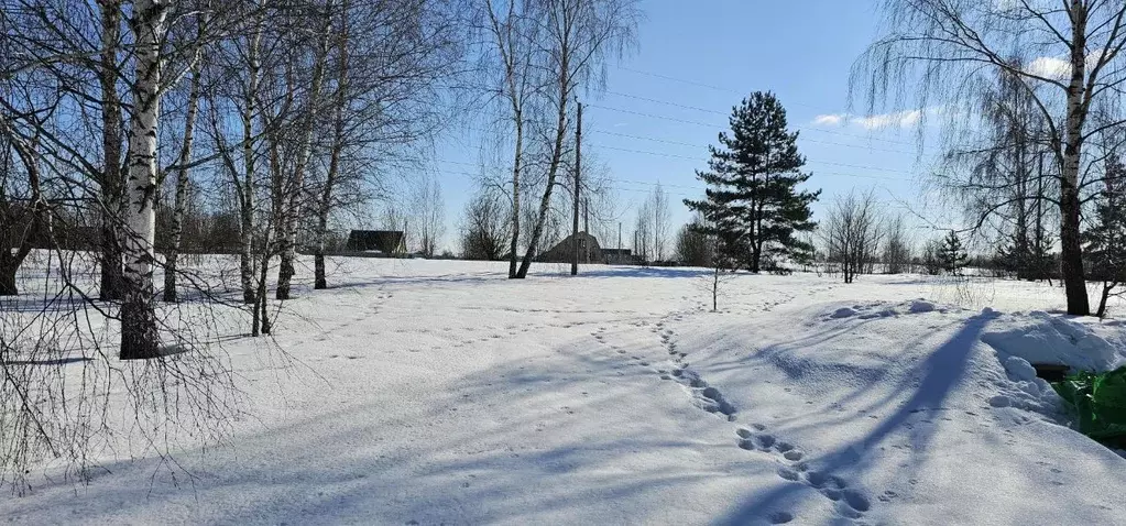 Участок в Московская область, Луховицы  (15.74 сот.) - Фото 1