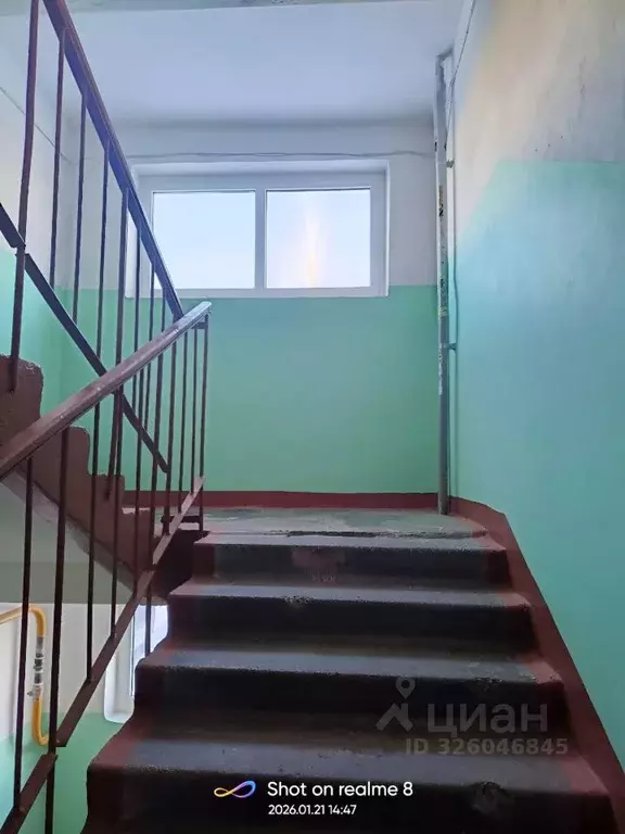 1-к кв. Пермский край, Пермь Бенгальская ул., 18 (33.5 м) - Фото 2