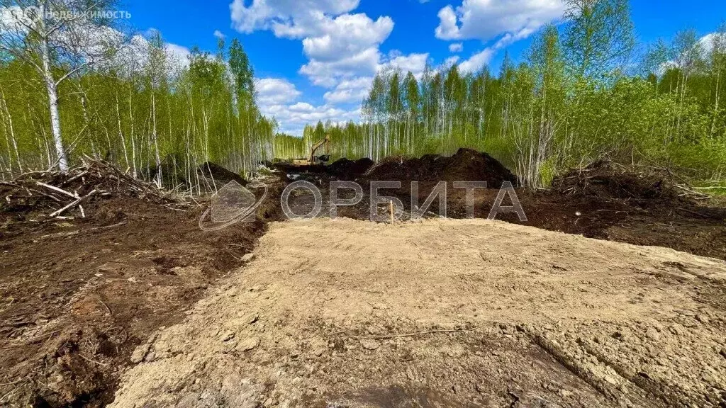 Участок в Тюмень, территория СОСН Березовое Озеро (6.4 м) - Фото 1