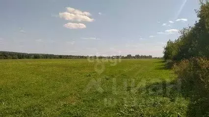 Участок в Свердловская область, Кушва Металлург-1 садовое дачное ... - Фото 1