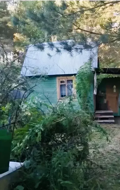 Дом в Московская область, Ногинск Богородский городской округ, Ромашка ... - Фото 1