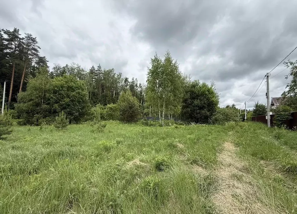 Участок в Московская область, Богородский городской округ, д. Калитино ... - Фото 1