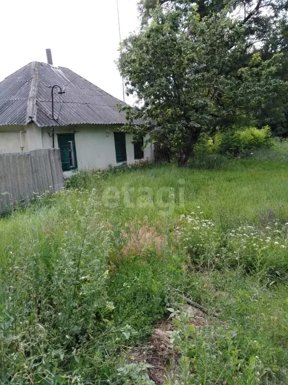 Дом в Белгородская область, Валуйский городской округ, Долгаловка хут. ... - Фото 0