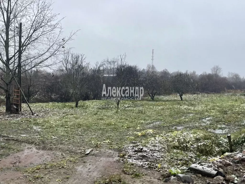 Участок в Ленинградская область, Приозерский район, Ларионовское ... - Фото 0