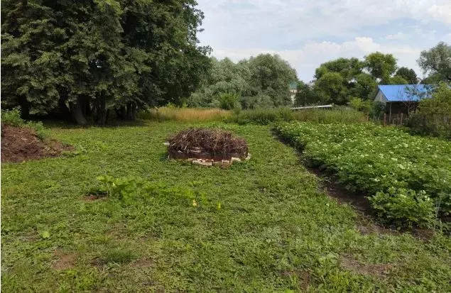 Участок в Московская область, Зарайск муниципальный округ, д. Большие ... - Фото 1