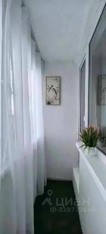 1-к кв. Ленинградская область, Сосновый Бор ул. Машиностроителей, 8 ... - Фото 1