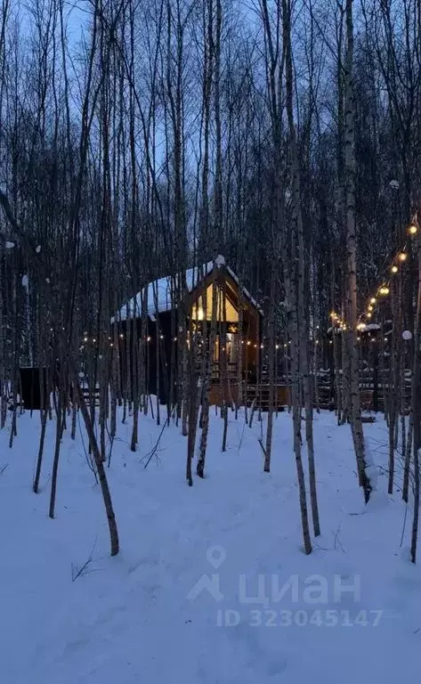 Дом в Смоленская область, Смоленский муниципальный округ, д. Ясная ... - Фото 2
