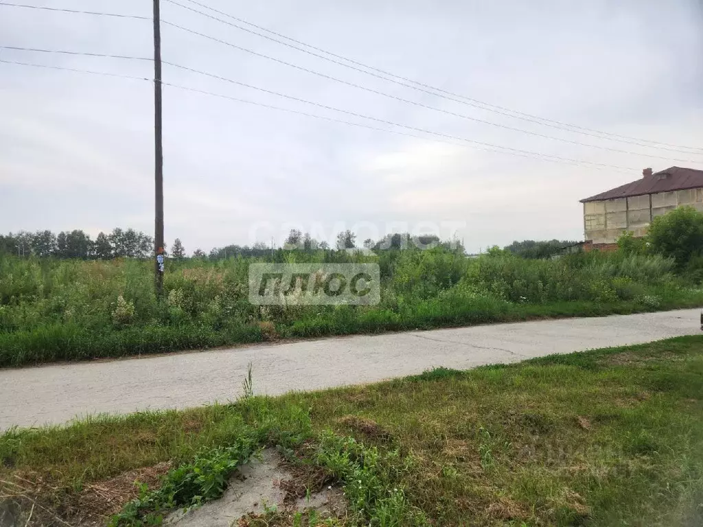 Участок в Новосибирская область, Искитимский район, д. Бурмистрово ул. ... - Фото 0