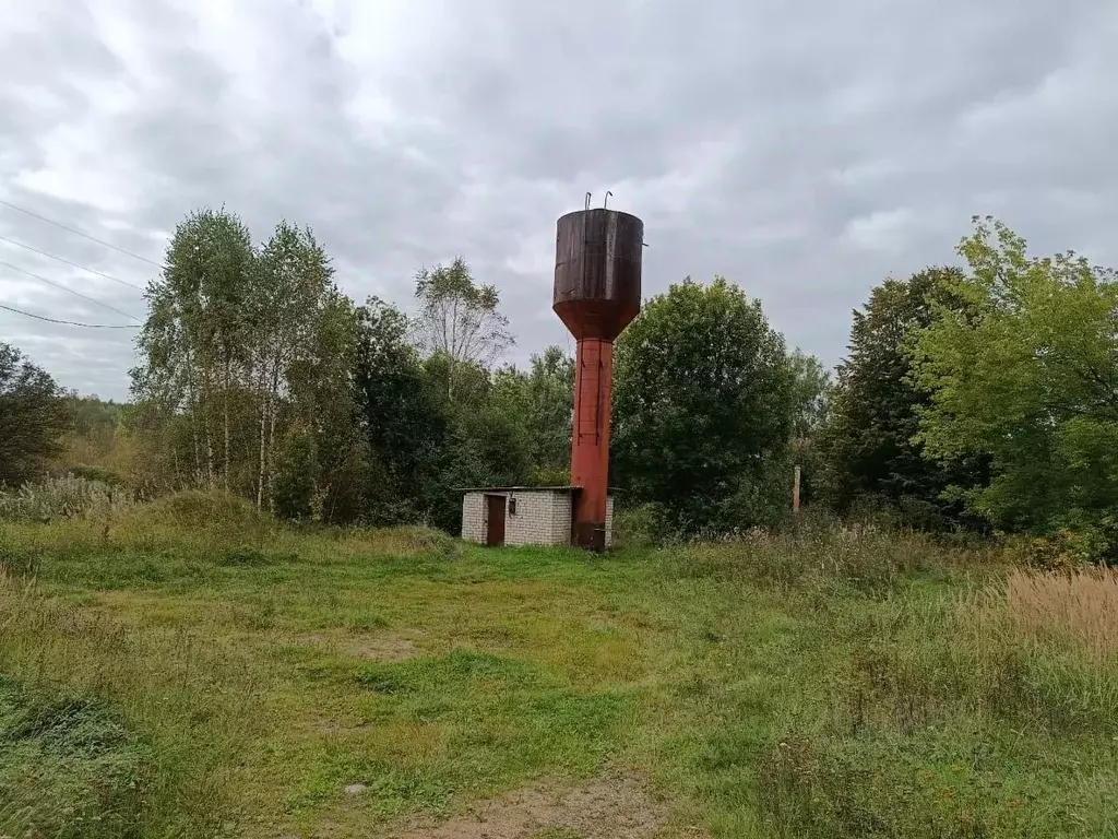 Участок в Ярославская область, Ростовский муниципальный округ, с. ... - Фото 0