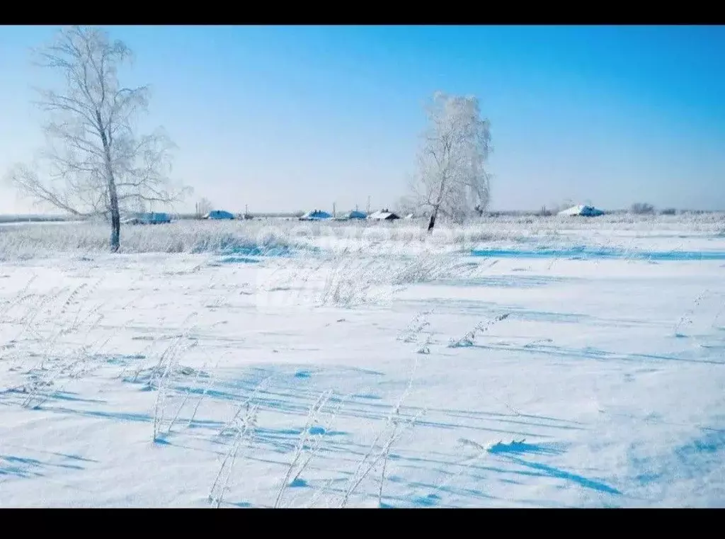Участок в Пензенская область, Кузнецк Начальный проезд (15.0 сот.) - Фото 1