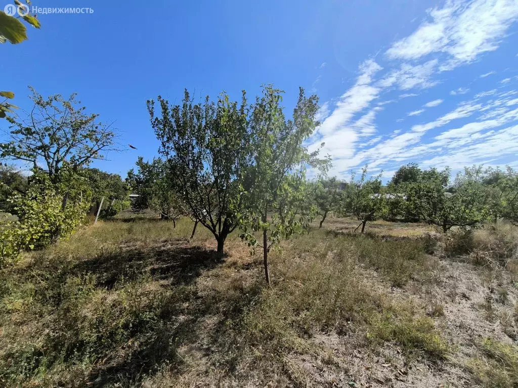 Участок в Трудовское сельское поселение, село Ивановка (10 м) - Фото 2