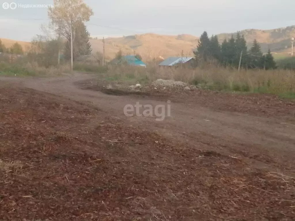 Участок в Алтайский район, село Верх-Ая, Алтайская улица (20 м) - Фото 1