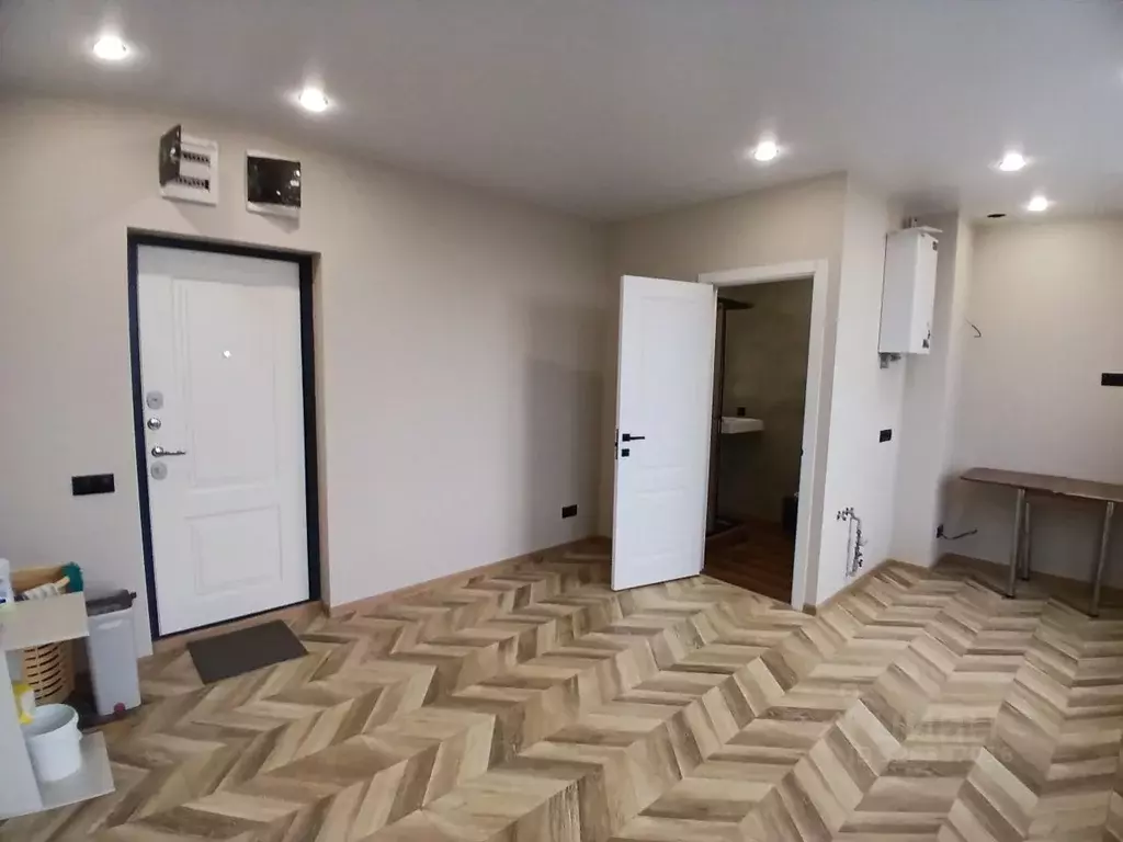 1-к кв. Краснодарский край, Сочи ул. Высокогорная, 107 (21.0 м) - Фото 2