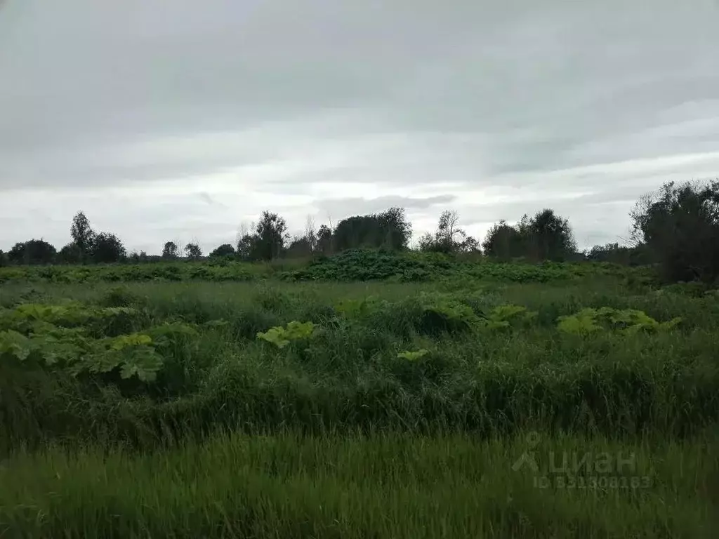 Участок в Ленинградская область, Тосненское городское поселение, д. ... - Фото 1