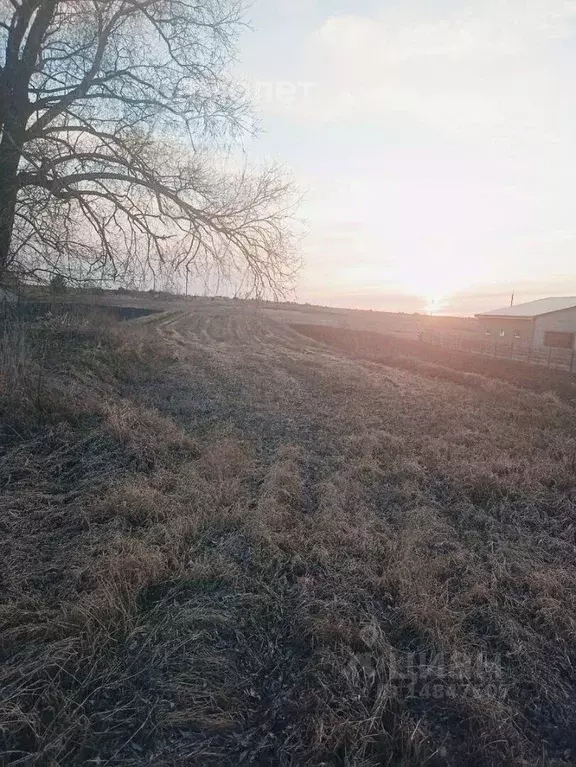 Участок в Нижегородская область, Арзамас городской округ, с. Новый ... - Фото 0