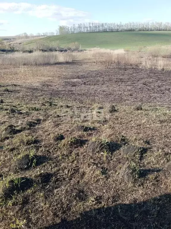 Участок в село Алтайское, Советская улица (230 м) - Фото 0