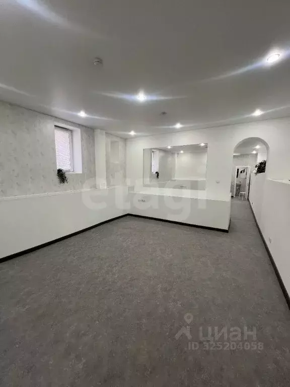 Офис в Санкт-Петербург пер. Пирогова, 19 (53 м) - Фото 1