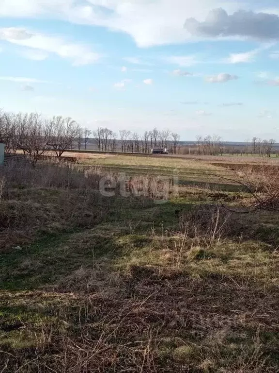 Участок в Белгородская область, Алексеевский городской округ, с. ... - Фото 0