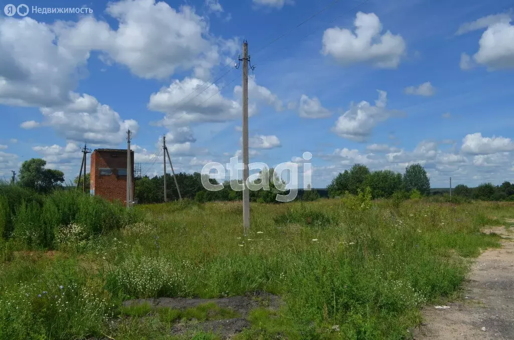 Участок в Брянская область, Жуковский муниципальный округ, село ... - Фото 0