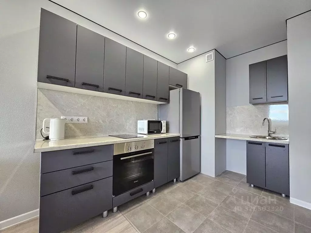 1-к кв. Ленинградская область, Всеволожский район, Заневское городское ... - Фото 2