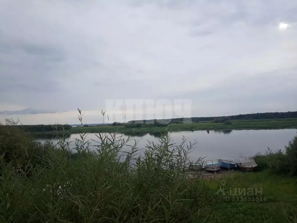 Участок в Вологодская область, Усть-Кубинский муниципальный округ, д. ... - Фото 1