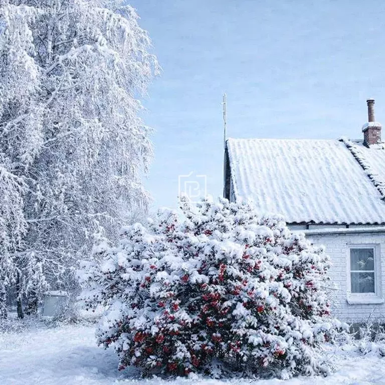 Дом в Калужская область, Ферзиковский муниципальный округ, сельское ... - Фото 1