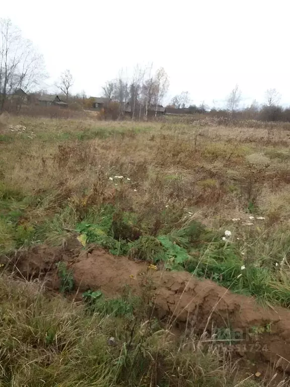 Участок в Костромская область, Красносельский район, Боровиковское ... - Фото 0