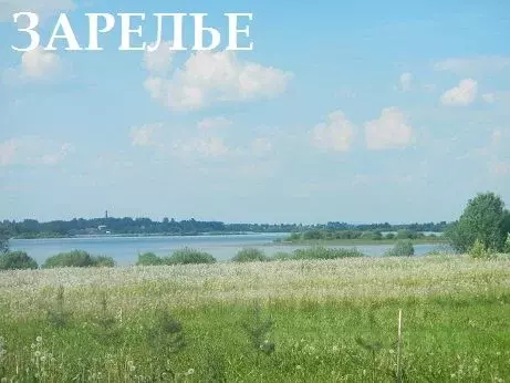 Участок в Новгородская область, Новгородский район, д. Зарелье  (10.0 ... - Фото 1