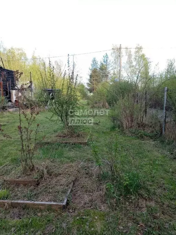 Участок в Московская область, Орехово-Зуевский городской округ, Марс ... - Фото 2