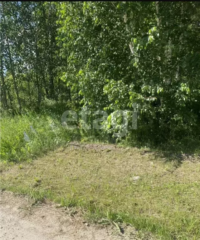 Участок в Алтайский край, Первомайский район, с. Санниково ул. ... - Фото 1