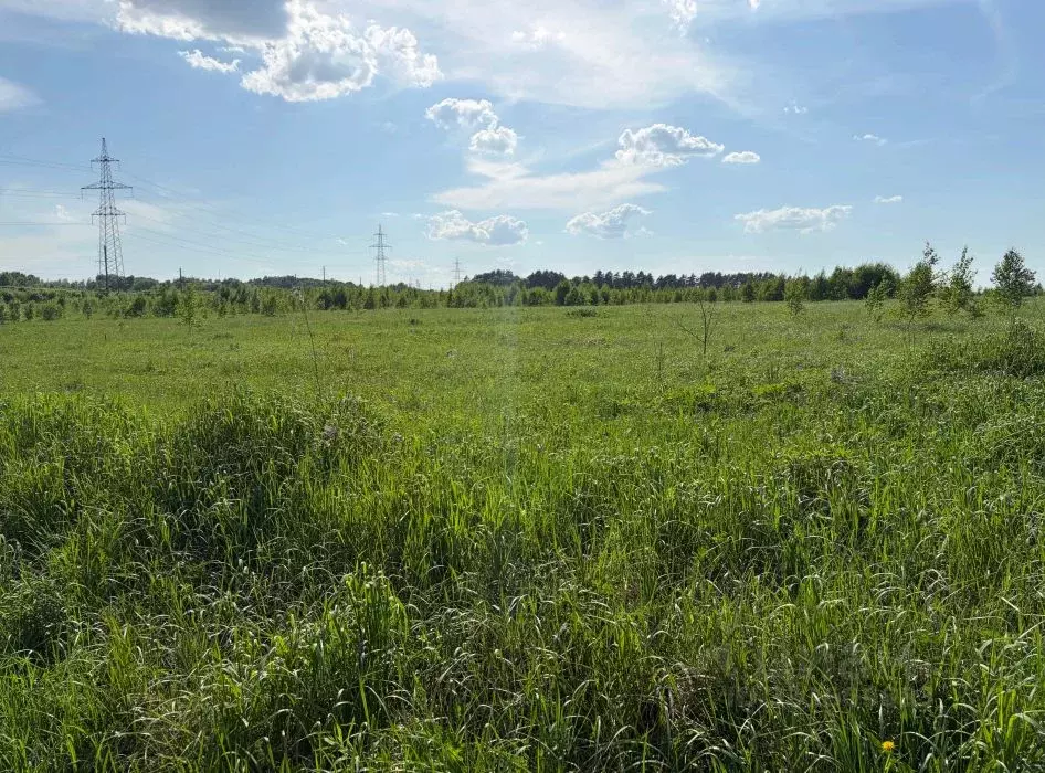 Участок в Московская область, Кашира городской округ, д. Колтово  ... - Фото 2