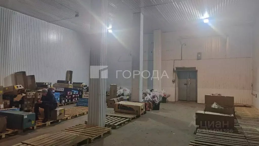 Помещение свободного назначения в Новосибирская область, Новосибирск ... - Фото 1