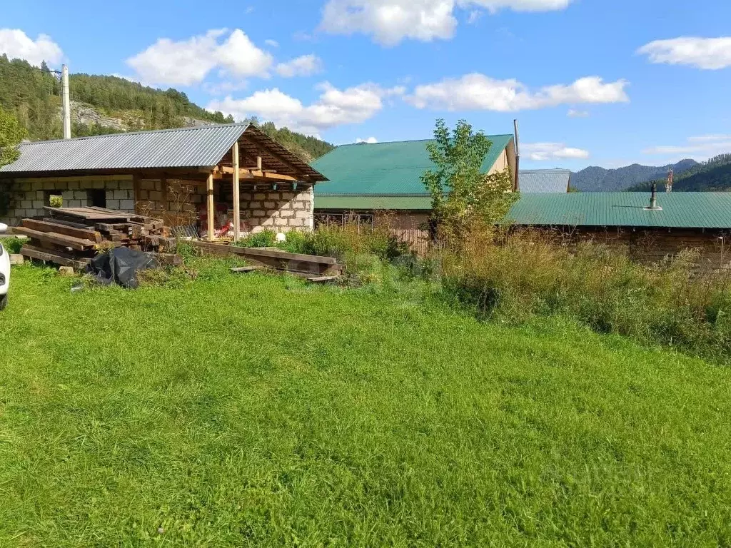 Участок в Алтай, Майминский район, с. Усть-Муны Березовая ул. (11.7 ... - Фото 1