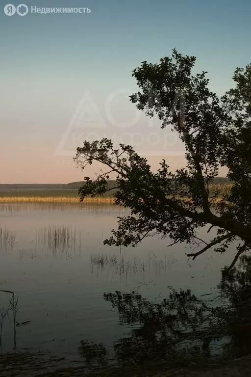 Помещение свободного назначения (3600 м) - Фото 1